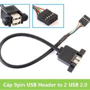 Cáp chuyển đổi 9pin USB Header Motherboard to 2 USB Type A