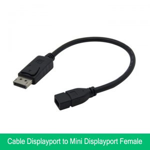 Cáp chuyển đổi Displayport sang Mini-Displayport Female Adapter